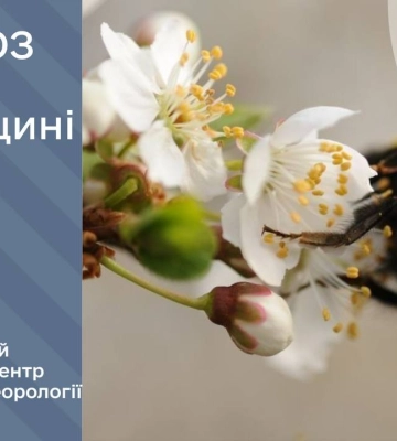 У п&#039;ятницю на Рівненщині - без дощів