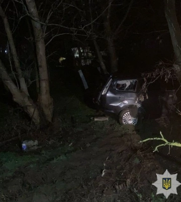 На Львівщині Ford вилетів з дороги та врізався у дерево: постраждала 18-річна дівчина, - ФОТО