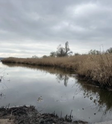 У Миколаєві завершують ліквідацію наслідків розливу олії на Південному Бузі після атаки дрона