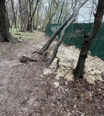 На столичному Печерську через будівництво ЖК почався зсув ґрунту: утворився котлован і падають дерева На столичному Печерську через будівництво ЖК почався зсув ґрунту: утворився котлован і падають дерева
