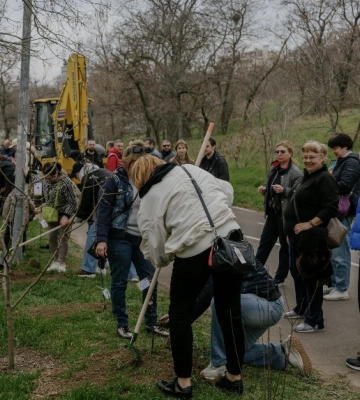 На Трасі здоров’я в Одесі висадили екзотичні дерева