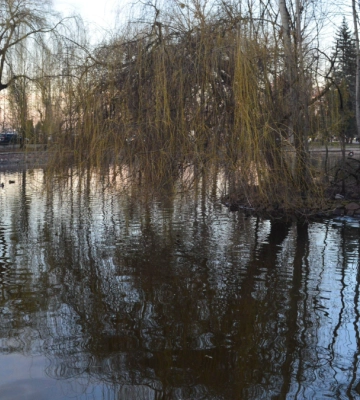 Вистави та ігри: афіша подій в Івано-Франківську 4 квітня