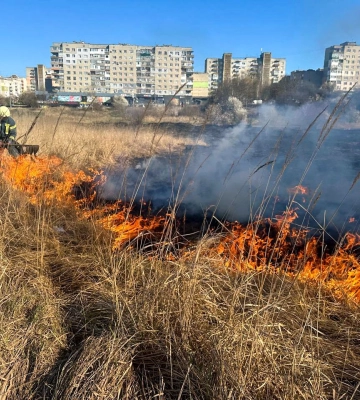 Вогонь охопив 9 га: на Волині – знову масштабні пожежі в екосистемах