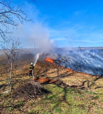Вогонь охопив 9 га: на Волині – знову масштабні пожежі в екосистемах