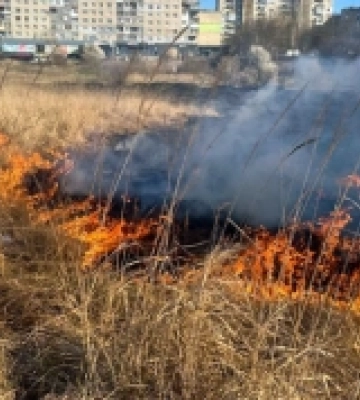 На Волині зафіксували 10 пожеж в екосистемах: найбільше горіло на Камінь-Каширщині та Ковельщині