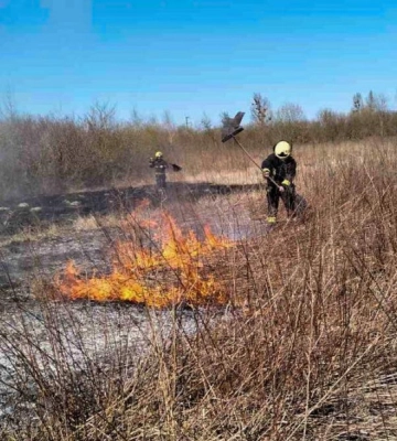 Вогонь охопив 9 га: на Волині – знову масштабні пожежі в екосистемах