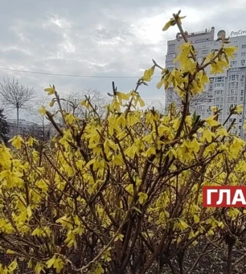 Мінлива хмарність, пригріє до +19°: прогноз погоди на 4 квітня