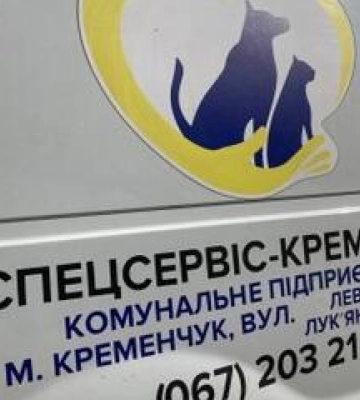 У Кременчуці нарахували понад тисячу безпритульних тварин