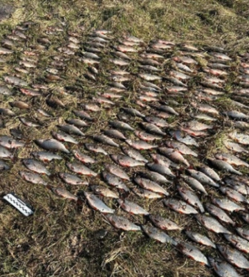 Ловив в період нересту: на Чернігівщині чоловік добув риби на понад 100 тисяч гривень