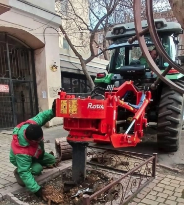 В Одесі видаляють старі пні та висаджують молоді дерева 