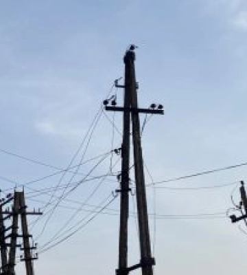 Российские войска за сутки 10 раз атаковала населенные пункты Донетчины: есть повреждения