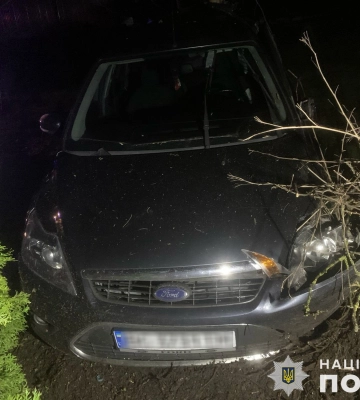 На Львівщині легковик вилетів з дороги у дерево, внаслідок ДТП постраждала дівчина
