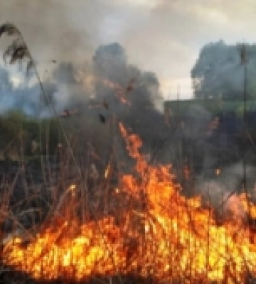Рятувальники Рівненщини ліквідували 18 пожеж в екосистемах за добу