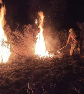 За добу на Волині вигоріло майже 6 гектарів сухої рослинності
