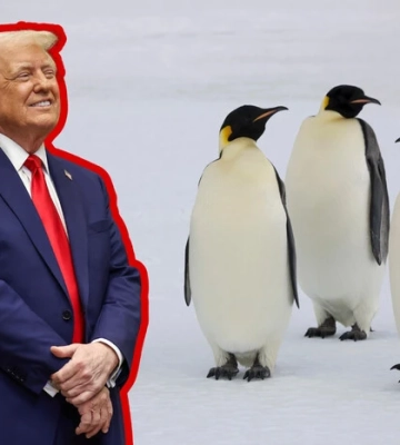 Трамп, мита та пінгвіни. Для чого він це робить?