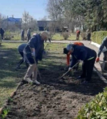 У селі на Волині влаштували весняну толоку