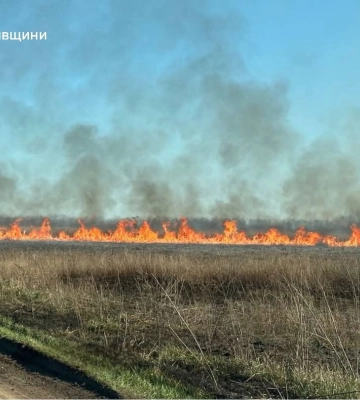 А сухостій усе горить: пожежу гасили біля Циркунів під Харковом 