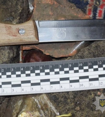 У Вінниці чоловіка засуджено за безжальне вбивство 33-річної жінки, - поліція