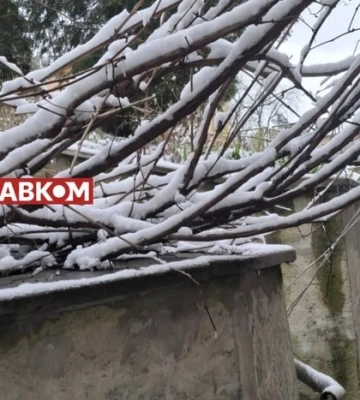 Снег, заморозки и гололедица ожидаются в Украине в начале недели, они повредят раннецветущие деревья - Гидрометцентр