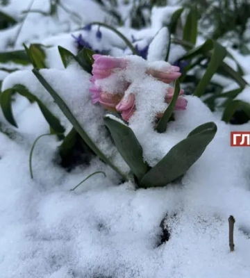 Казкова зима у квітні: Україну засипало снігом (фото, відео)