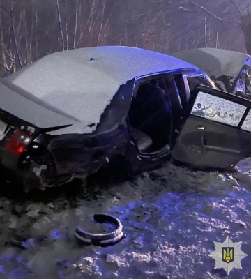 У Новому Роздолі нетверезий водій влетів у дерево: постраждало двоє людей