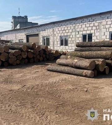 На Тернопільщині повідомлено про підозру учасникам банди чорних лісорубів. ВІДЕО