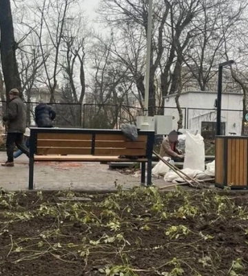 «Київзеленбуд» намагався «компенсувати» мільйонні збитки висаджуванням барвінку у січні