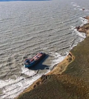 В Азовском море из-за действий РФ массово гибнут крабы и рыба - ЦПД
