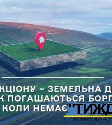 Продаж земельної ділянки дозволив її власнику позбутися аліментної заборгованості