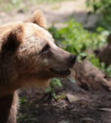 У березні туристичний збір Львівщини становив понад 1,6 млн грн