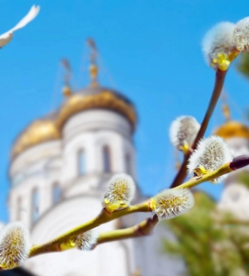 Что делать с освященной вербой после праздника: объяснение священника ПЦУ