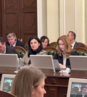 Іванна Климпуш-Цинцадзе та Вадим Галайчук узяли участь у міжкомітетському засіданні з Європарламентом