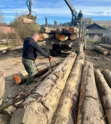 На Закарпатті судитимуть угруповання «чорних лісорубів»