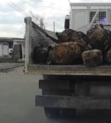 Дубенські патрульні затримали водія без прав