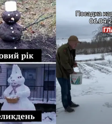 Квітневий снігопад: соцмережі жартують про повернення зими