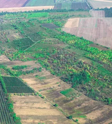 Аукціони з оренди землі на Харківщині принесли понад 3,3 млн грн