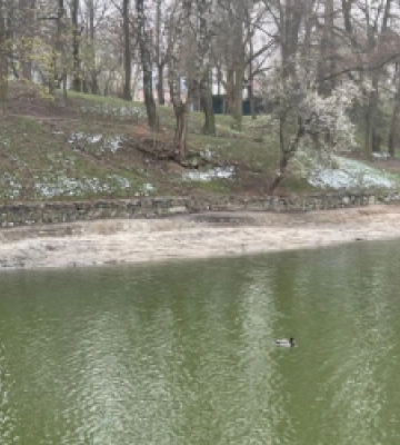 На Піскових озерах у Львові виявили пошкоджену трубу: у мерії запевняють, що загроз немає 