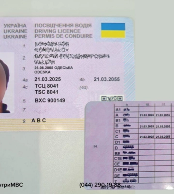 За 20 тисяч гривень придбав підроблене водійське посвідчення, а його немає в Дії