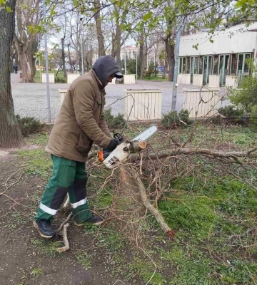 Наслідки негоди в Одесі: через повалені дерева призупинено рух трамвая