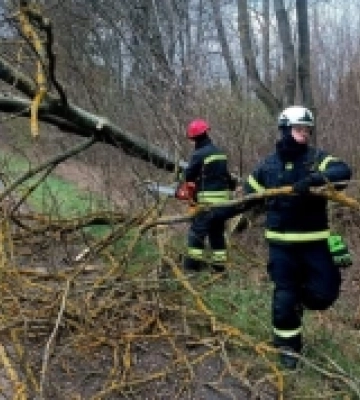 На Волині дерево впало на будинок пенсіонерки