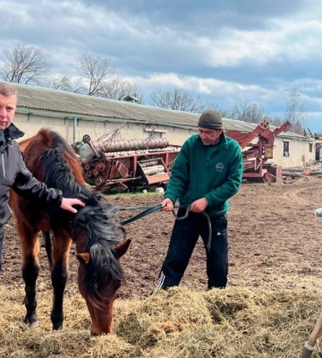 Вагітних кобил вивезли з-під обстрілів на Харківщині 