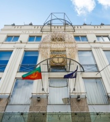 5000 птиц надежды: в Киеве открыли арт-инсталляцию бельгийского дизайнера
