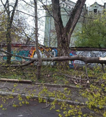 В Одесі повалені дерева пошкодили зовнішнє освітлення