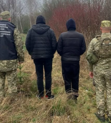 Сильний вітер повалив дерева на автівку та хату в Луцькому районі 