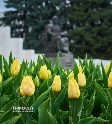 Прогноз погоди на 12 квітня у Харкові та області: прогріється до 14 тепла