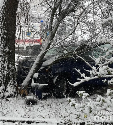 На Житомирщині легковик врізався у дерево на узбіччі дороги, у ДТП загинула жінка