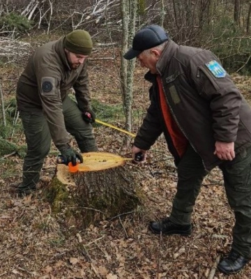 Сильний вітер повалив дерева на автівку та хату в Луцькому районі 