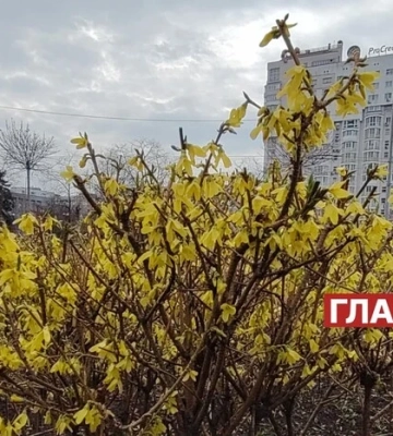 Хмарно з проясненнями: прогноз погоди на 12 квітня