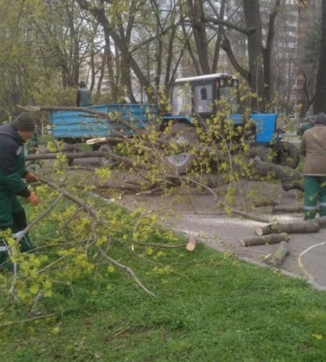 В Одесі тривають відновлювальні роботи після руйнівної негоди