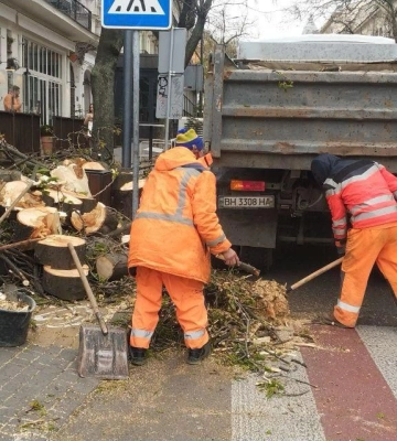 В Одесі штормовий вітер 11 квітня зніс 45 дерев і великих гілок